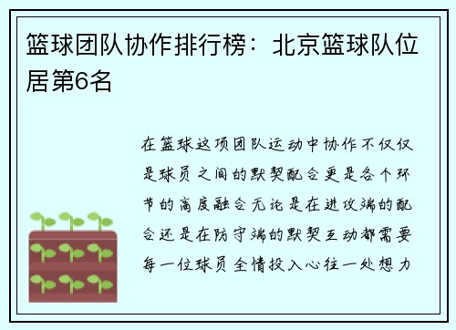 篮球团队协作排行榜：北京篮球队位居第6名