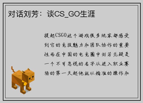 对话刘芳：谈CS_GO生涯