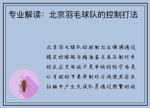 专业解读：北京羽毛球队的控制打法